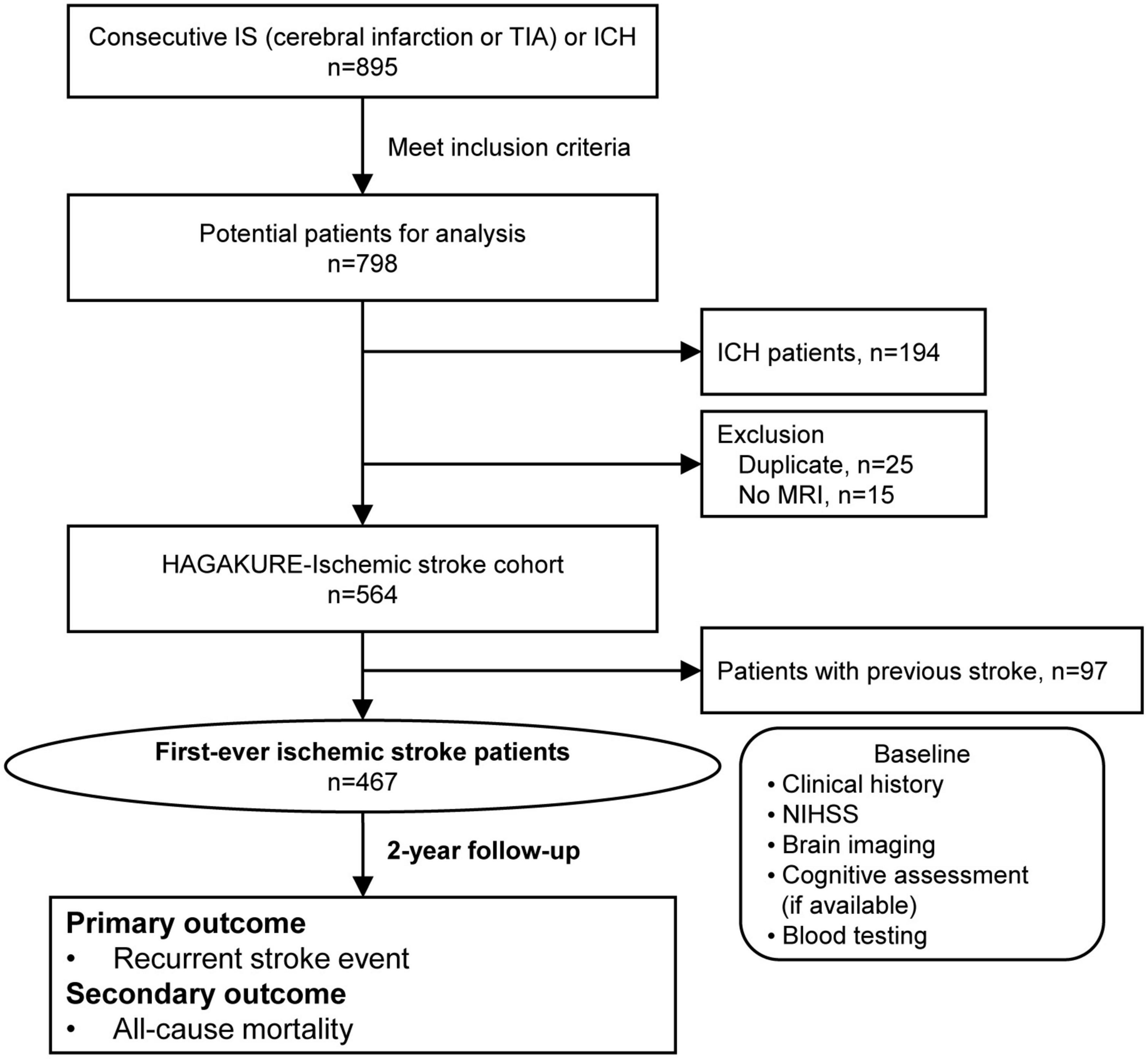 Hypertension, cerebral Amyloid, aGe Associated Known neuroimaging markers of cerebral small vessel disease Undertaken with stroke REgistry (HAGAKURE) prospective cohort study: Baseline characteristics and association of cerebral small vessel disease with prognosis in an ischemic stroke cohort